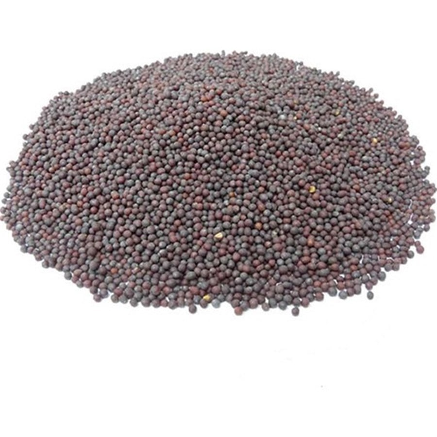 Siyah Hardal Tohumu 100 Gr