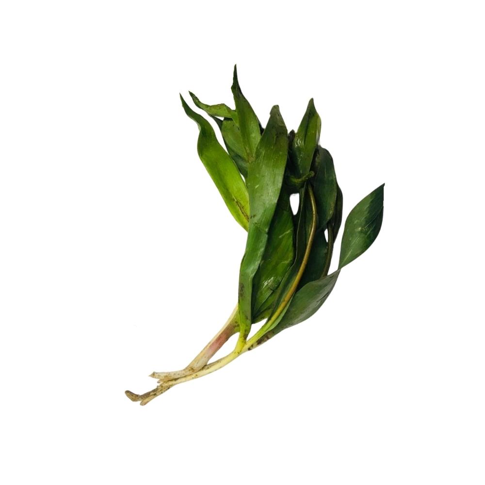 Soryaz Otu (Kg)