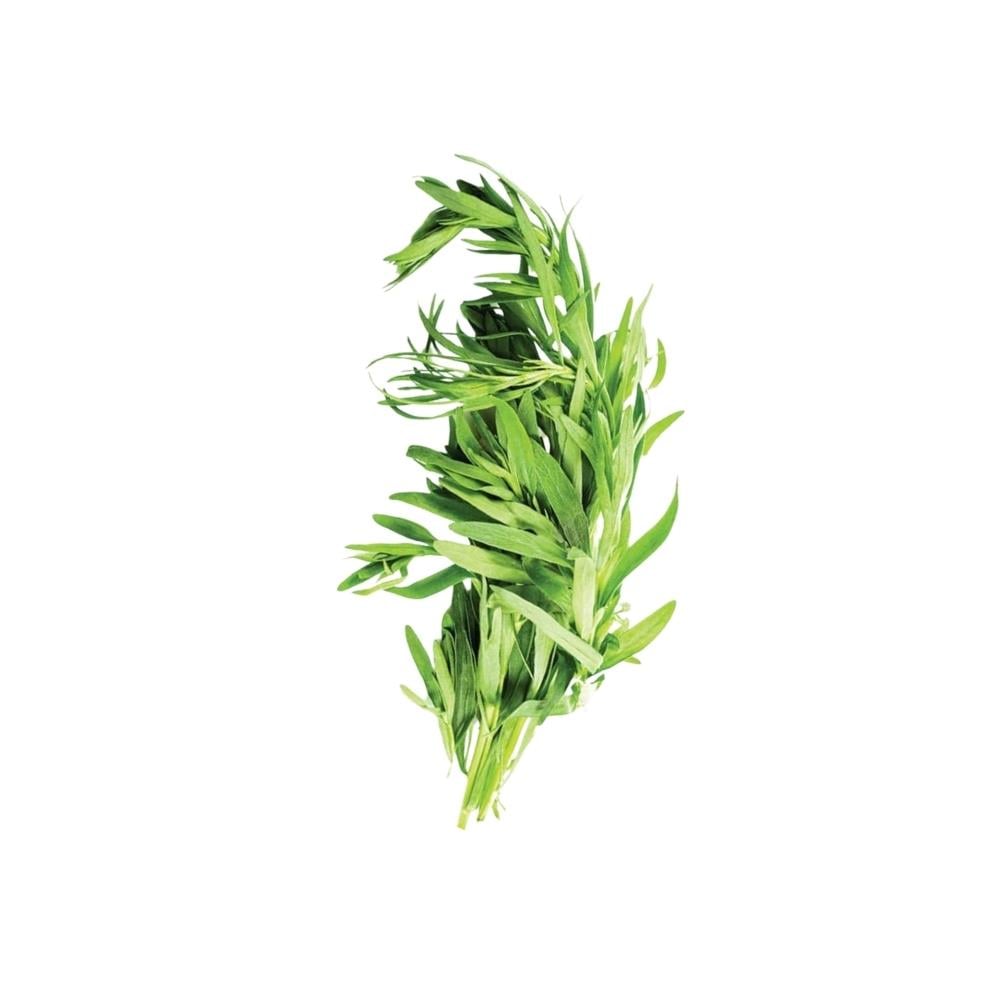 Tarhun Otu (Tarragon) 25 Gr