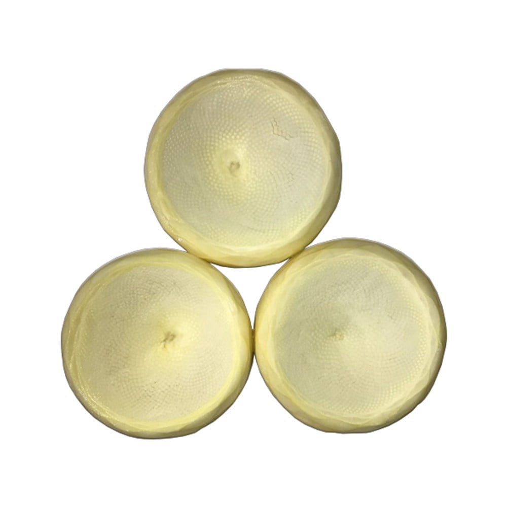 Taze Enginar (5 Adet)