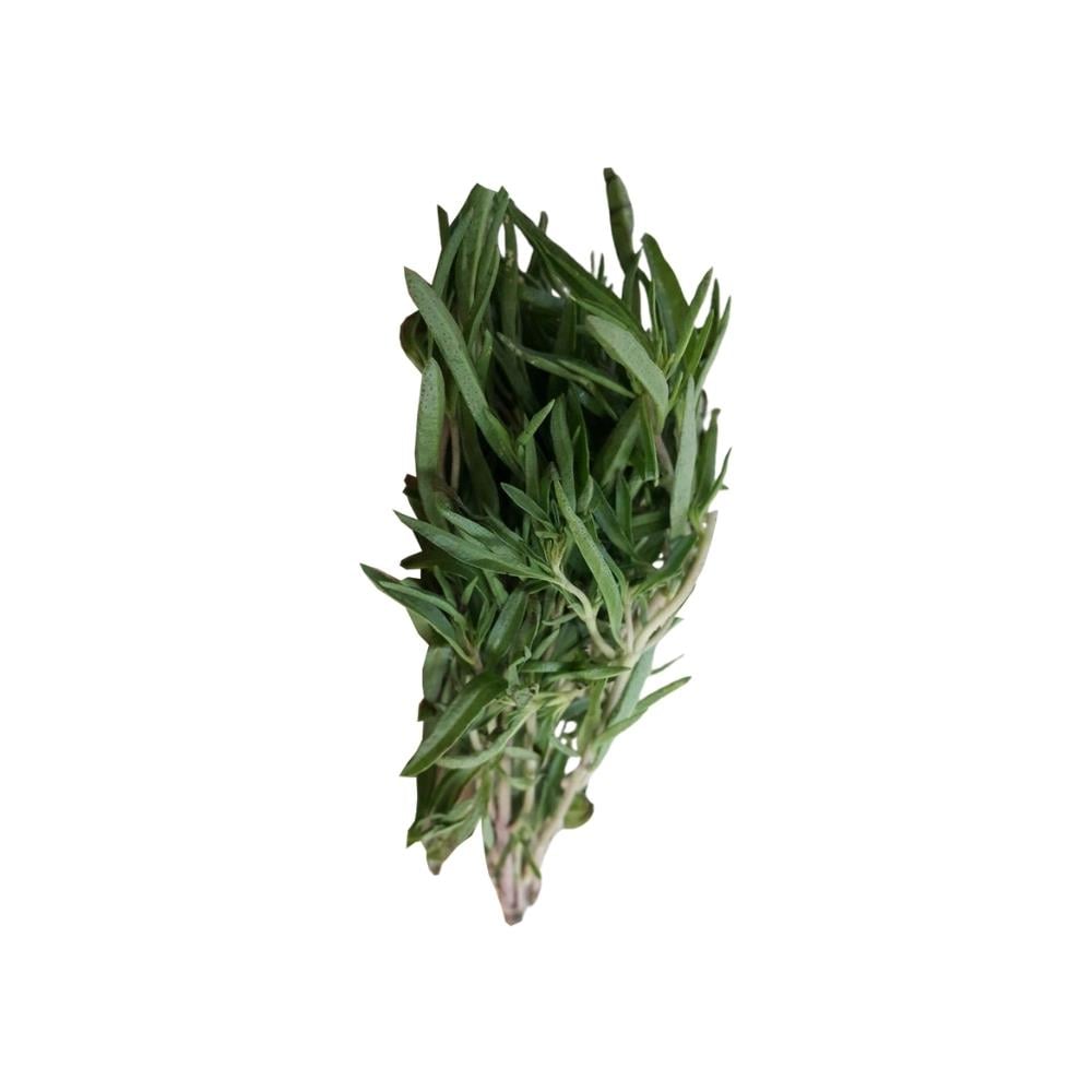 Taze Kekik (Demet)