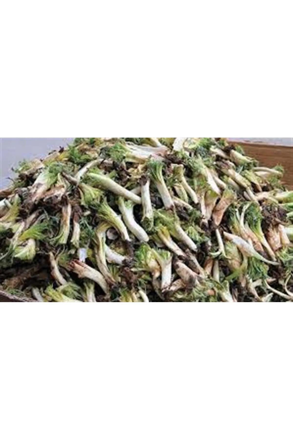 Taze Kenger (Selbin) (Kg)