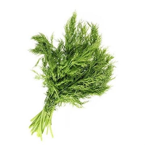 Taze Rezene   (Demet)
