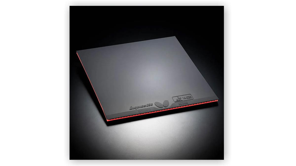 butterfly-dignics-09c-6170cd.jpg