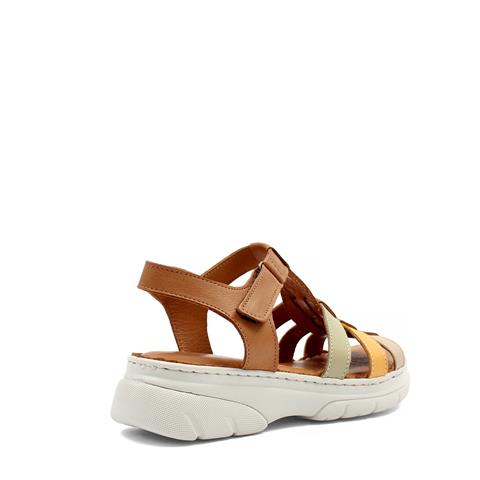 Kadın Taba Bilekten Cırt Cırtlı Gladyatör Sandalet