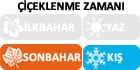 CZ-Sonabahar-Kış