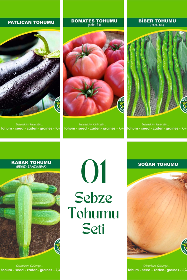 01 Sebze Tohum Seti | SEBZE TOHUMLARI