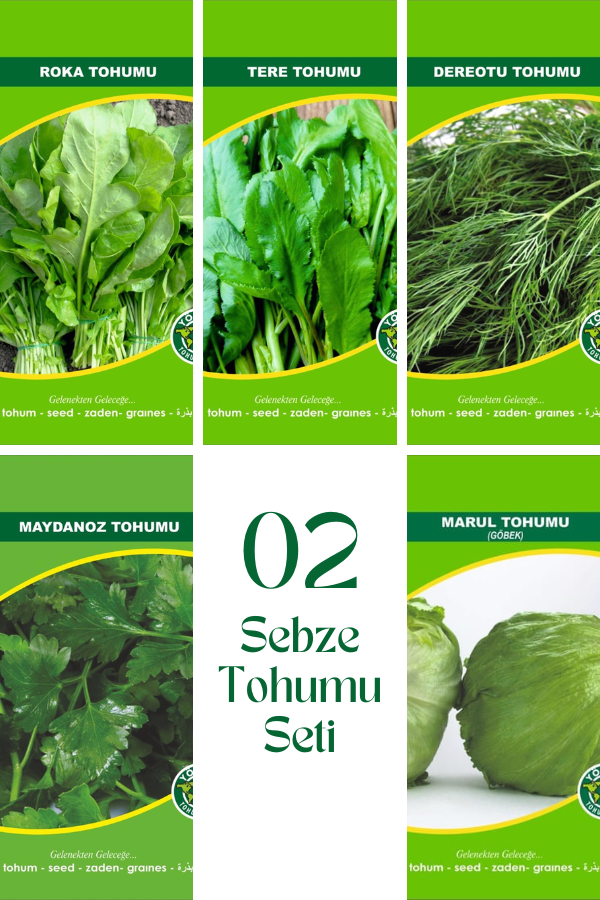 02 Sebze Tohum Seti | SEBZE TOHUMLARI