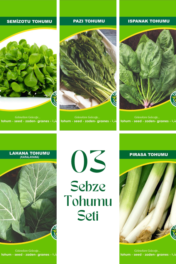 03 Sebze Tohum Seti | SEBZE TOHUMLARI