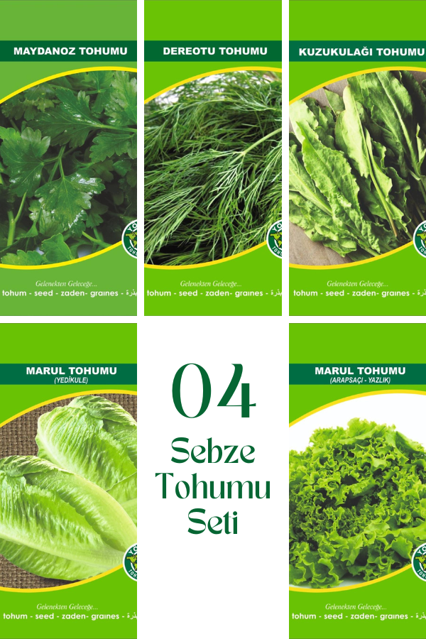 04 Sebze Tohum Seti | SEBZE TOHUMLARI