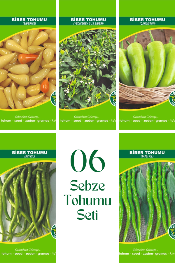 06 Sebze Tohum Seti | SEBZE TOHUMLARI