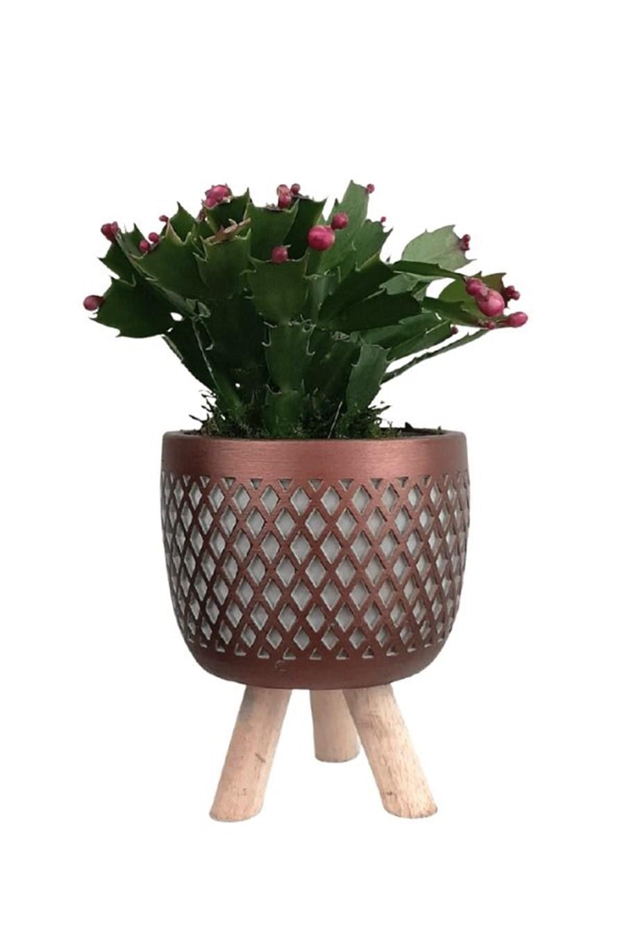 Ayaklı Bakır Saksıda Pembe Yılbaşı Çiçeği | Çiçekli Salon Bitkileri