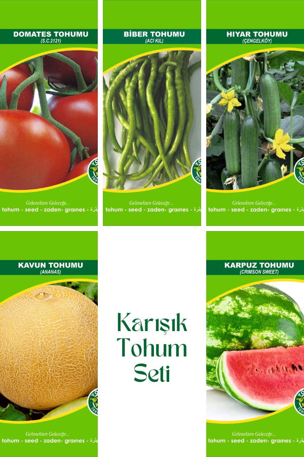 01 Karışık Tohum Seti 5'li Set | SEBZE TOHUMLARI
