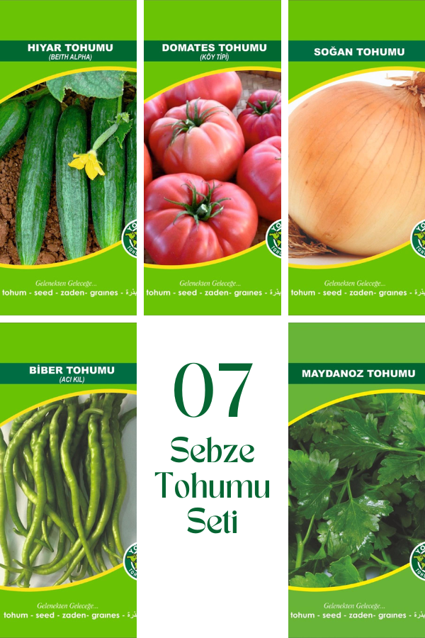 07 Sebze Tohum Seti | SEBZE TOHUMLARI