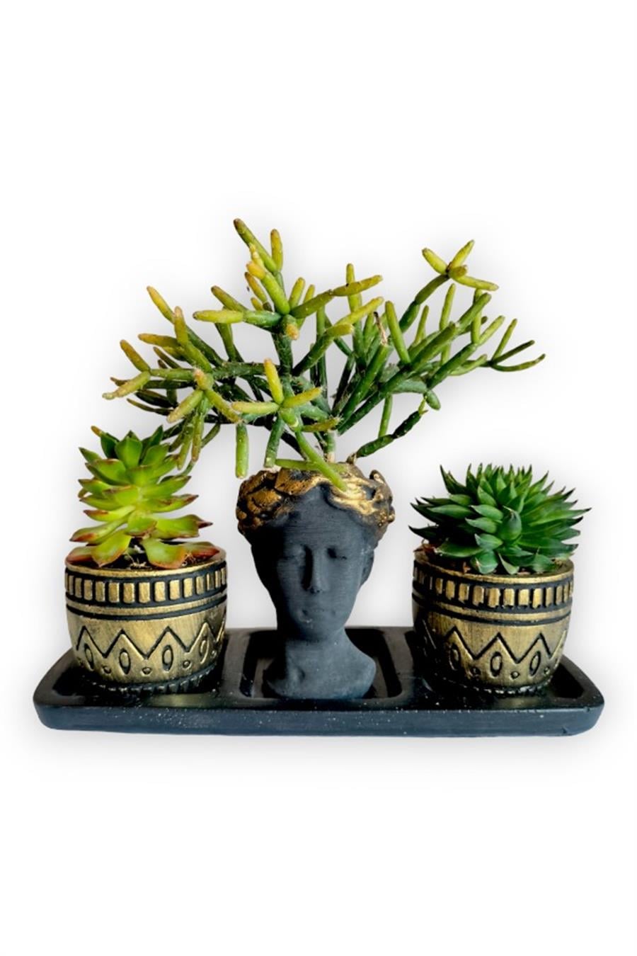 Sedum & Rhipsalis 3'lü Sukulent Seti | Helen Siyah & Gold Seri | 3'lü Sukulent Setleri