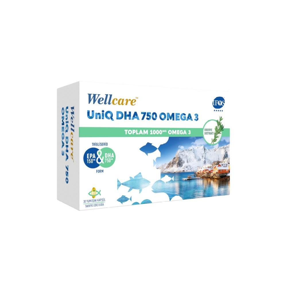 Wellcare UniQ 750 Omega 3 30 Kapsül