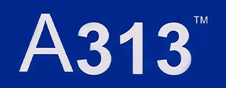 A313