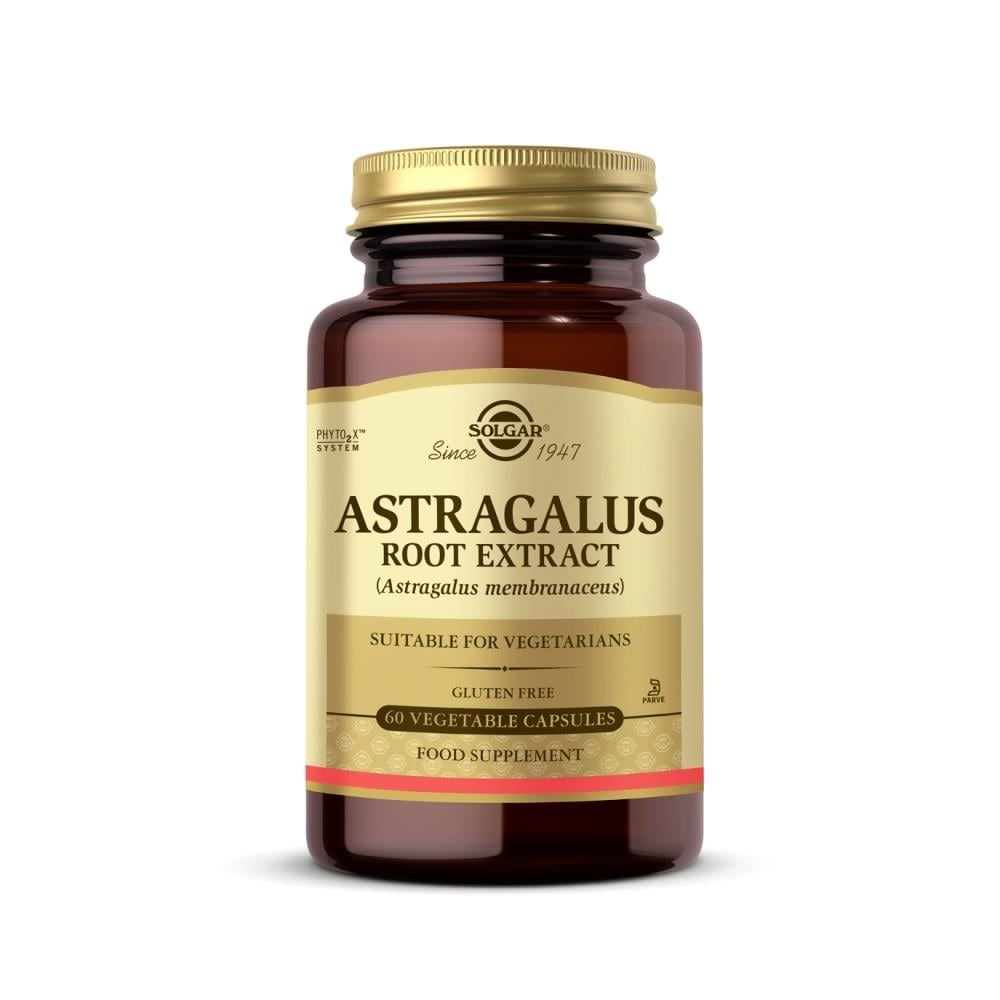 Solgar Astragalus Root Extract 60 Kapsül