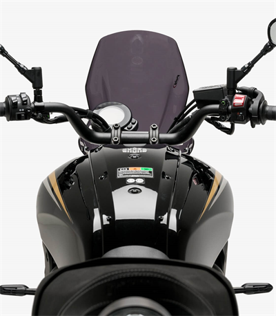 Puig 21430F Dark Smoke Ön Cam 