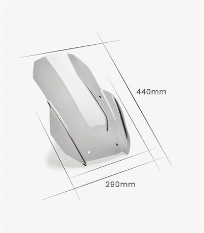 Puig 21273H Sport Smoke Ön Cam