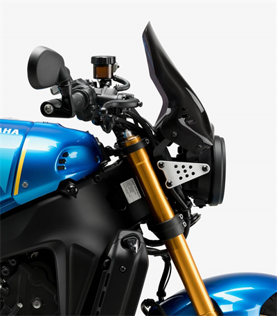 Puig 21431F Dark Smoke Ön Cam 