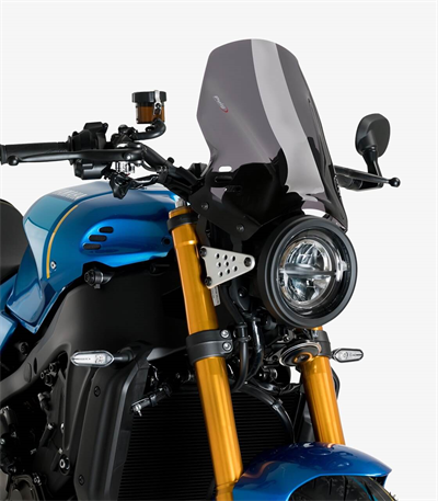 Puig 21431F Dark Smoke Ön Cam 