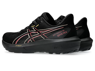 Asics Gt-1000 15 Gtx Erkek Koşu Ayakkabısı