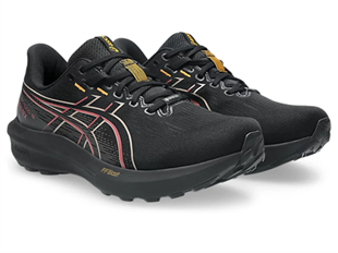 Asics Gt-1000 15 Gtx Erkek Koşu Ayakkabısı