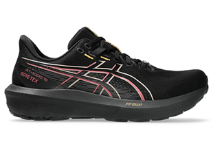 Asics Gt-1000 15 Gtx Erkek Koşu Ayakkabısı
