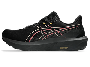 Asics Gt-1000 15 Gtx Erkek Koşu Ayakkabısı