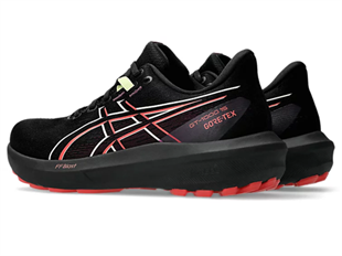 Asics Gt-1000 15 Gtx Kadın Koşu Ayakkabısı