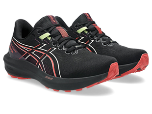 Asics Gt-1000 15 Gtx Kadın Koşu Ayakkabısı