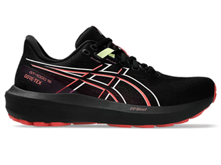 Asics Gt-1000 15 Gtx Kadın Koşu Ayakkabısı