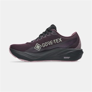 Asics Gt-2000 15 Gtx Kadın Koşu Ayakkabısı