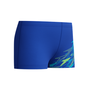 Speedo Medley Logo Aquashort