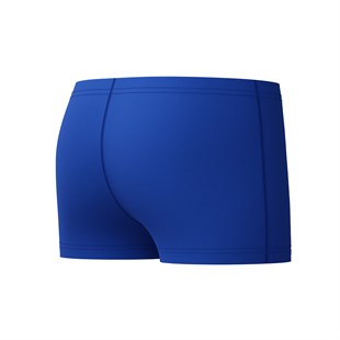 Speedo Medley Logo Aquashort