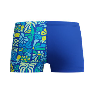 speedo  Printed Erkek Çocuk Aquashort