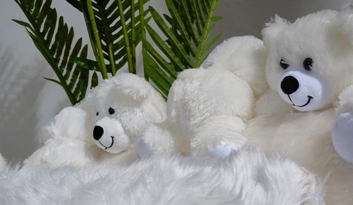 Teddy Bears Berjer