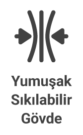 Gövde Yumuşak