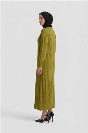 Armine Trend 25KTD901 Kendinden Şerit Detay Elbise Yağ Yeşili