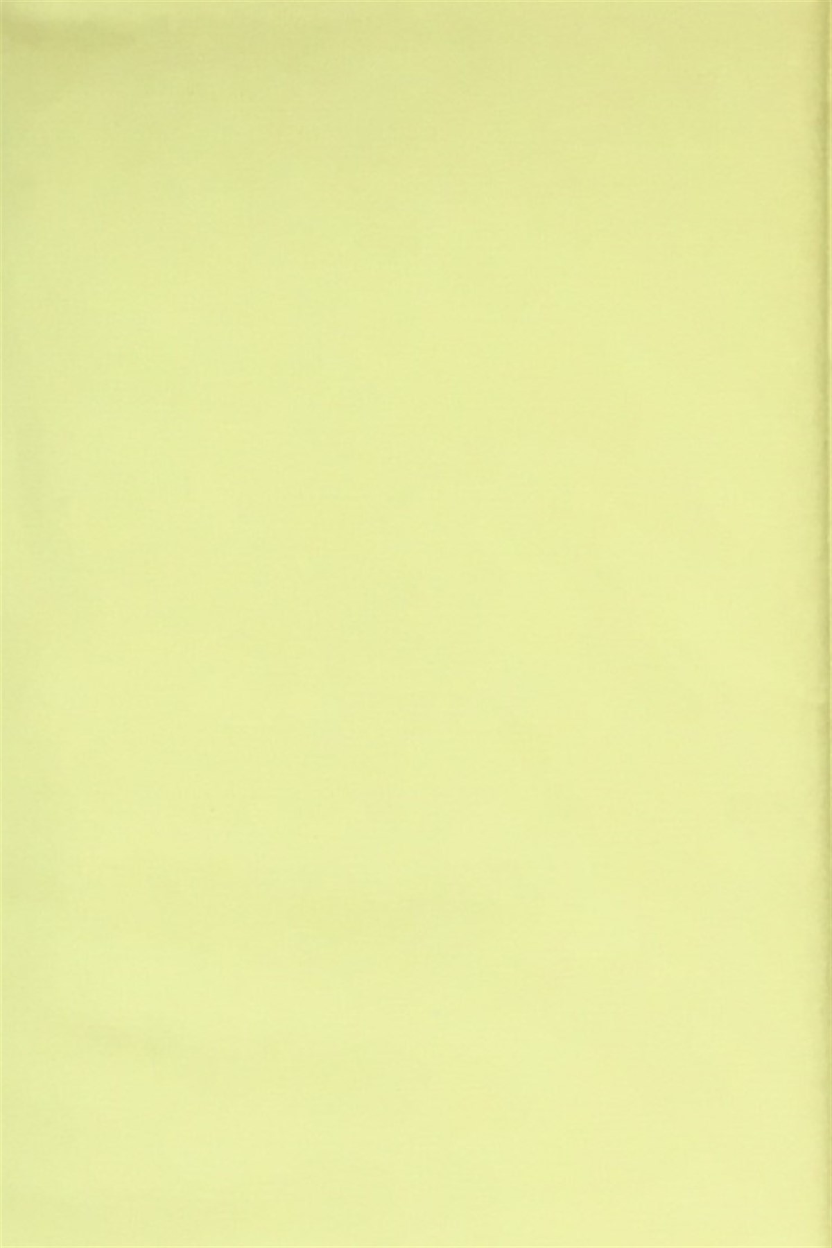 Süper Lüks Akfil Sarı