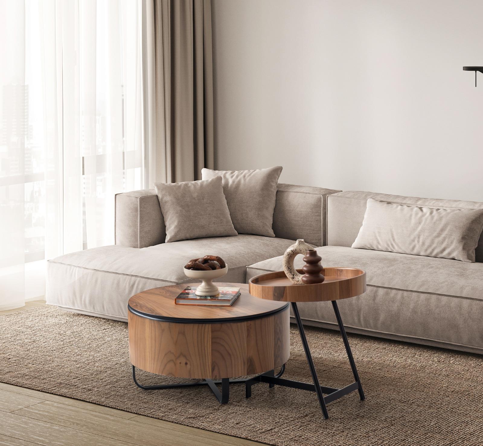 Dekorbizden Loft Orta Sehpa 