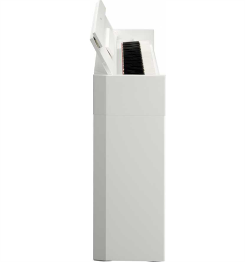 Yamaha cheap arius s52