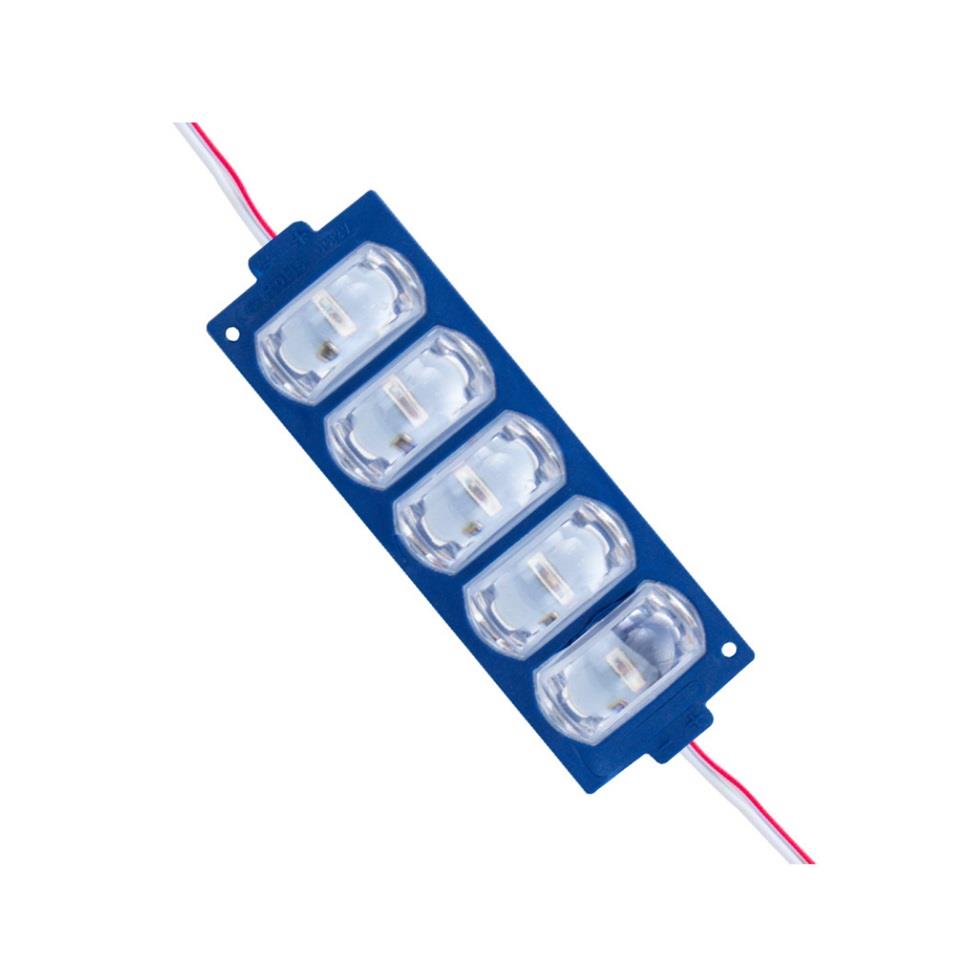 12V MODÜL LAMBA (CAMLI) 5-LEDLİ MAVİ (110*38 MM)