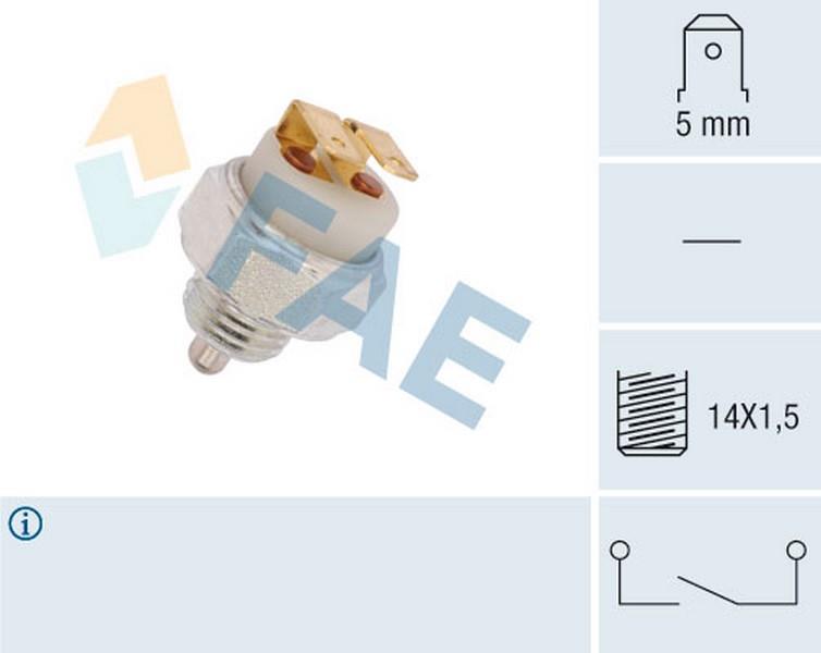 FAE GERİ VİTES MÜŞÜRÜ (M14 X 1.5) PEUGEOT J9