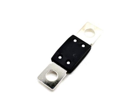 MEGAVAL SİGORTA 60 A (69*19 MM)