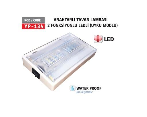 12-24V ANAHTARLI TAVAN LAMBASI 18 LEDLİ MAVİ-BEYAZ (2 FONKSİYONLU) (148*89 MM)