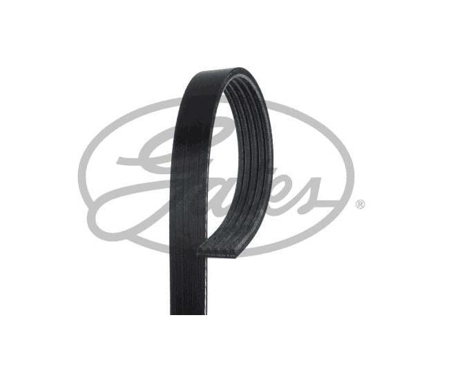 GATES V KAYIŞI 5 PK 1815