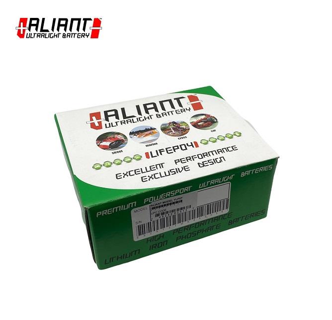 12V 7 AH MOTOSİKLET AKÜSÜ (LIFEPO4 LİTYUM IRON BATTERY) 260 A (EN) (115*40*100) (450 GR) ITALY