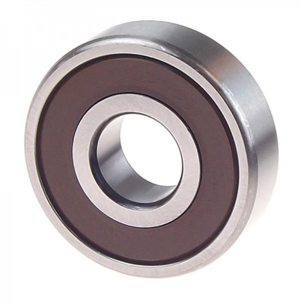 NACHI 6006 2RS RULMAN